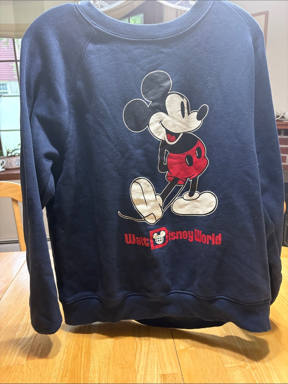 Disney Sweatshirt